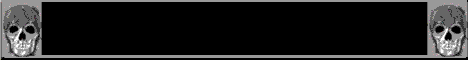 Verbrannte Zone, das Onlinespiel
